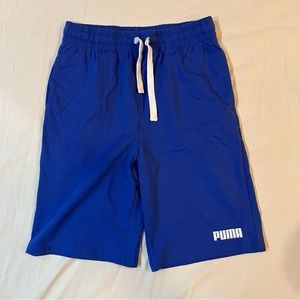 Men’s Casual Blue Puma Shorts